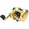 Shimano Calcutta Conquest 300/301 (2018) 2 Shimano Calcutta Conquest 300/301 (2018) -Spinnrollen Verkaufsgeschäft 0000010000000000r 1