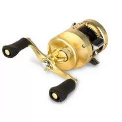 Shimano Calcutta Conquest 300/301 (2018) 9 Shimano Calcutta Conquest 300/301 (2018) -Spinnrollen Verkaufsgeschäft 0000010000000000r 3