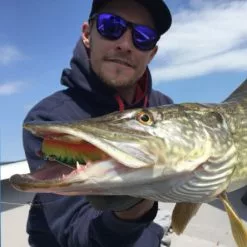 Lmab Drunk Bait -Spinnrollen Verkaufsgeschäft 094814r 5