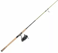 Berkley Phazer PRO IIl Combo