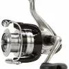 Daiwa Strikeforce 2500 Einschließlich Nylon-Leine -Spinnrollen Verkaufsgeschäft 198532 1