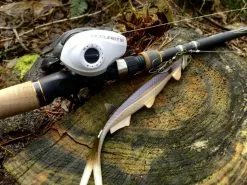 Quantum Accurist Baitcast AT101 HPT 13 Quantum Accurist Baitcast AT101 HPT -Spinnrollen Verkaufsgeschäft 22 570101 6