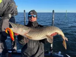 Zalt Zhad 21cm, 77g -Spinnrollen Verkaufsgeschäft 221602Zr 4