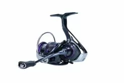 Daiwa 22 Prorex V LT -Spinnrollen Verkaufsgeschäft 32 217282r 6