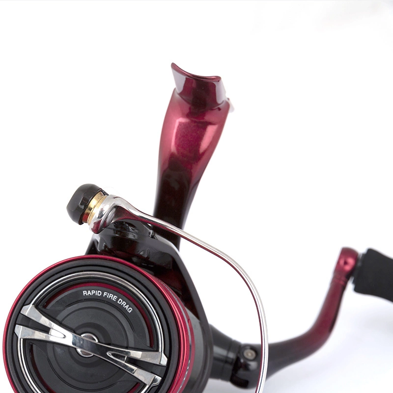 Shimano Sephia BB C3000S 5 Shimano Sephia BB C3000S – Bild 3