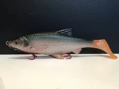 Savage Gear 3D LB River Roach Paddletail (2-Pack) -Spinnrollen Verkaufsgeschäft 57456r 3