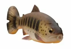 Savage Gear 3D Craft Trout Pulsetail 20cm, 104g (bulk) -Spinnrollen Verkaufsgeschäft 71845r 2