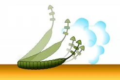 Deps Bull Flat 3.8'' -Spinnrollen Verkaufsgeschäft D BF38 18r 6