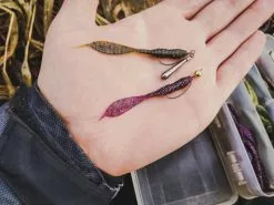 Perch Professor Leech 7cm (8pcs) -Spinnrollen Verkaufsgeschäft FL78P Or 3