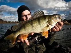 Keitech Hog Impact 8,9cm (10stk) -Spinnrollen Verkaufsgeschäft KEI 5835CT02r 3