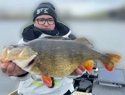 Keitech FAT Swing Impact 9,6cm -Spinnrollen Verkaufsgeschäft KEI 6038CT06r 4