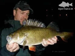 Keitech FAT Swing Impact 9,6cm -Spinnrollen Verkaufsgeschäft KEI 6038CT06r 5