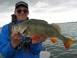 Keitech FAT Swing Impact 9,6cm -Spinnrollen Verkaufsgeschäft KEI 6038CT06r 6