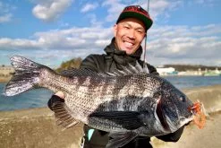 Megabass Rock Hog -Spinnrollen Verkaufsgeschäft MB 00000046364r 4