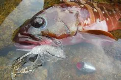 Megabass Rock Hog -Spinnrollen Verkaufsgeschäft MB 00000046364r 5