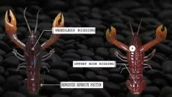 Nikko Craw 8,1cm (5stk.) 12 Nikko Craw 8,1cm (5stk.) -Spinnrollen Verkaufsgeschäft NIKKO431r 5