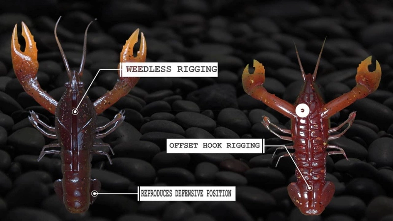 Nikko Craw 8,1cm (5stk.) 7 Nikko Craw 8,1cm (5stk.) – Bild 5