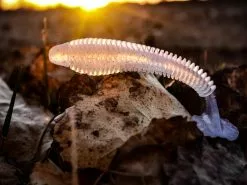 Nikko Winnow 9,5cm (5stk.) 7 Nikko Winnow 9,5cm (5stk.) -Spinnrollen Verkaufsgeschäft NIKKO441r 3