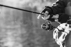 Shimano Stella FK -Spinnrollen Verkaufsgeschäft STL1000FKr 5