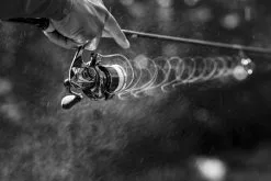 Shimano Stella FK -Spinnrollen Verkaufsgeschäft STL1000FKr 6