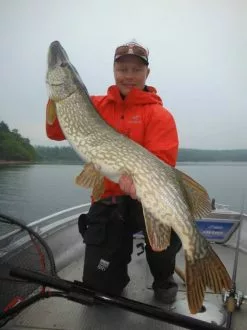 SvartZonker Big McRubber V2 - (2 Pack) -Spinnrollen Verkaufsgeschäft bigmcrubberv2 2pr 3