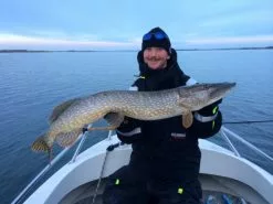 SvartZonker Big McRubber V2 - (2 Pack) -Spinnrollen Verkaufsgeschäft bigmcrubberv2 2pr 4