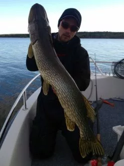 SvartZonker Big McRubber V2 - (2 Pack) -Spinnrollen Verkaufsgeschäft bigmcrubberv2 2pr 5