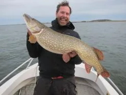 SvartZonker Big McRubber V2 - (2 Pack) -Spinnrollen Verkaufsgeschäft bigmcrubberv2 2pr 6